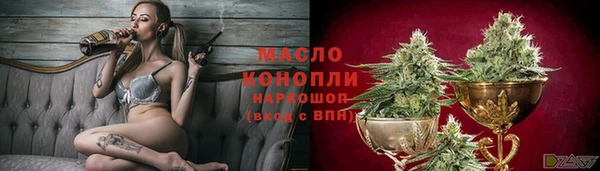соль ск Новодвинск