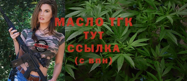 прущие грибы Новозыбков