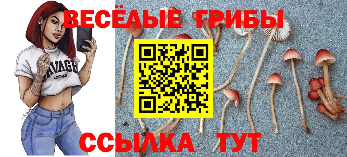 Галлюциногенные грибы мухоморы Моршанск